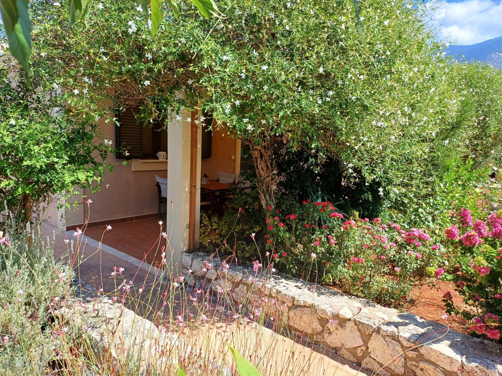 Korallis Villas Karavádhos Exteriör bild