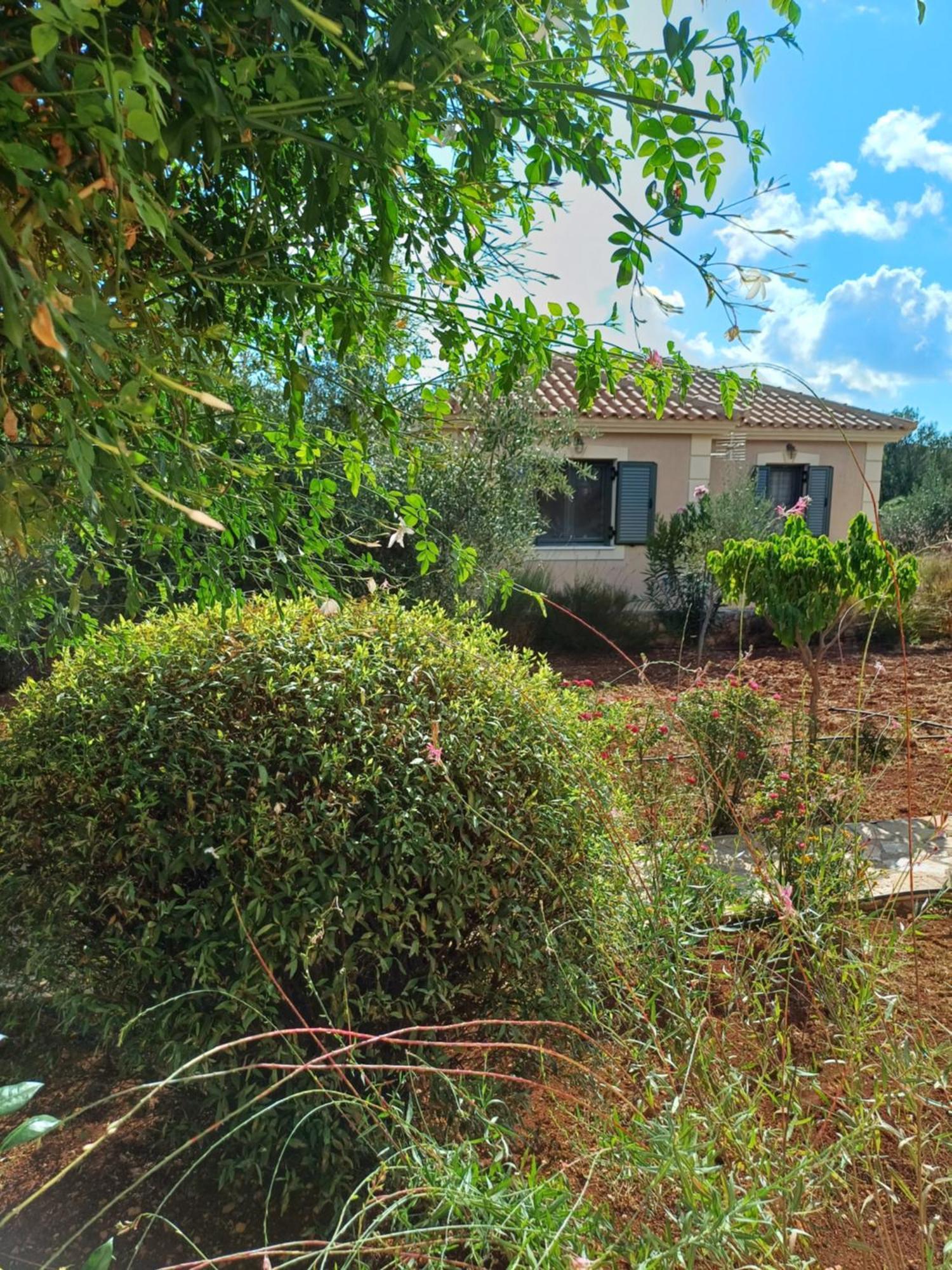 Korallis Villas Karavádhos Rum bild